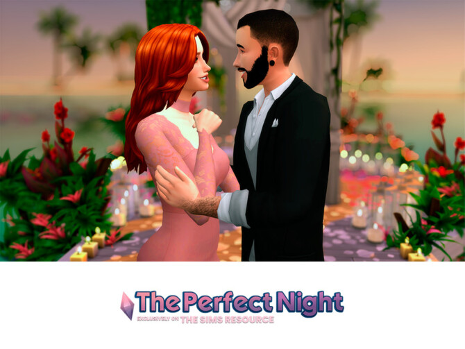 Perfect Dinner Date Pose Set 1 by David_Mtv at TSR
