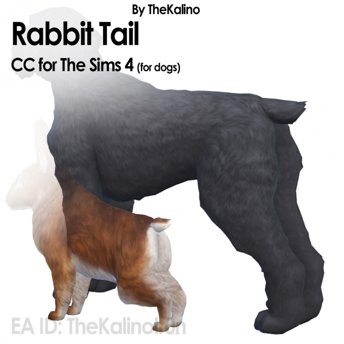 New Tails for Dogs and an update for the Cats by Kalino