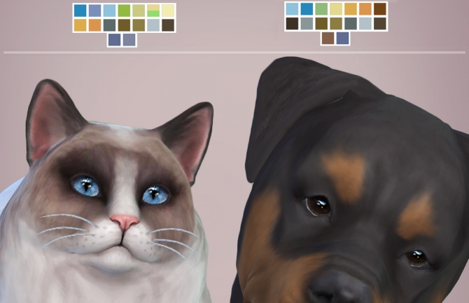 Real Eyes Cats & Dogs by kellyhb5 by Mod The Sims