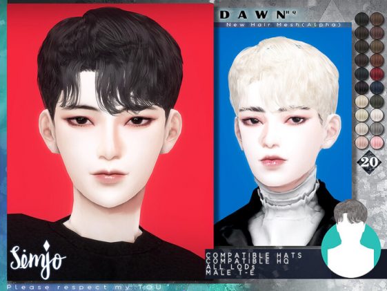 Dawn Male Hairstyle by KIMSimjo at TSR - Lana CC Finds