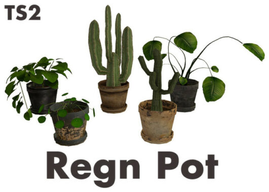Regn Pot at Riekus13 - Lana CC Finds
