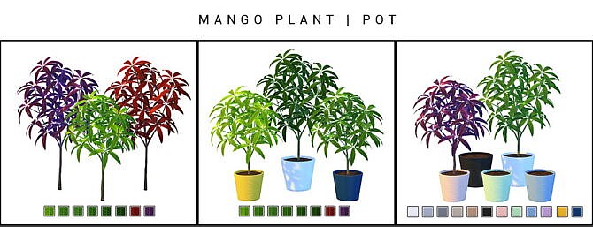 Daya Mango Plant at Nynaeve Design
